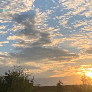 Meet your Posher, Juliette